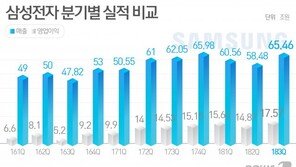 ‘반도체 통합출범 30년’ 하루 앞두고 ‘실적 축포’ 쏜 삼성전자