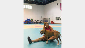 [스토리 발리볼] V리그 여자 외국인 선수들의 사생활은…