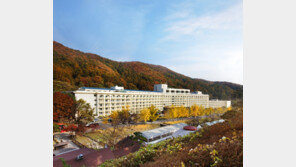 “66세·66년생 66% 할인” 한화리조트 양평 이벤트