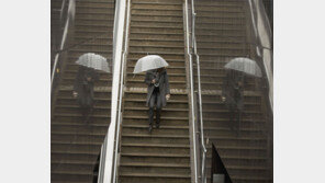 [고양이 눈/사진 칼럼]나는 누구인가