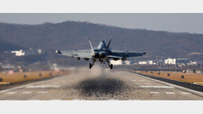 韓美, 비질런트 에이스 훈련 유예…내년 연합훈련 변화하나