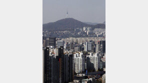 갈 곳 잃은 부자들, 강남·홍대 ‘꼬마빌딩’에 눈길