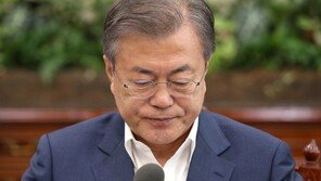 비건 방한으로 드러난 美 의도…속도조절에 고심 깊어진 文대통령