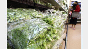 물가 13개월 만에 2%대로…경기침체속 물가앙등 우려↑