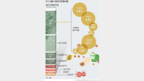 서울시 내년 예산 역대 최대 35조…복지·일자리·강남북균형 방점
