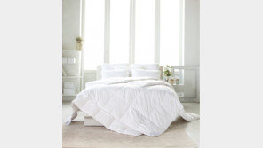 이브자리 ‘스노우 구스다운’ 침구 출시