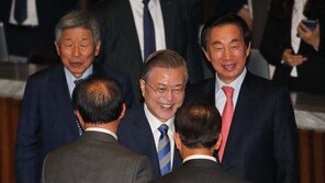 ‘판문점선언’ 언급 생략한 文대통령…野반발 의식한 ‘로우키’ 전략