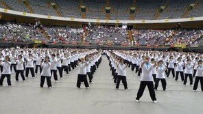 한국 태극권, 월드컵 태극권 대회서 맹위 떨쳐
