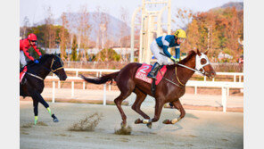 트리플나인, 대통령배(GⅠ) 4연승 성공할까