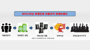 “영화자금 필요해서”…中보이스피싱 조직에 대포전화 판 일당