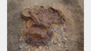 강릉 초당동서 4세기 신라 찰갑 출토…“완전한 형태, 장수의 것 추정”