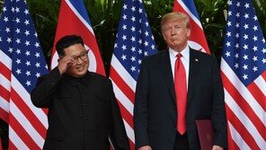 [美 중간선거] 北은 공화당…中·이란은 민주당 승리 기대?