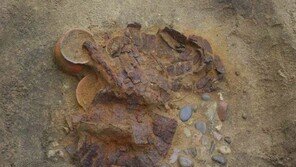 강릉 초당동서 4세기 신라 장수 갑옷 출토…“완전한 형태”