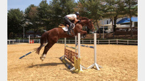 [경마 단신] 국산 어린 말 승마대회 14일 개막 外