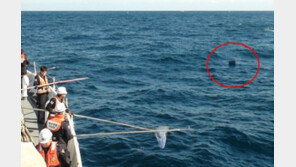 ‘70대 선원 2명 어디에’…실종 갈치잡이 어선것으로 추정 ‘아이스박스’ 발견