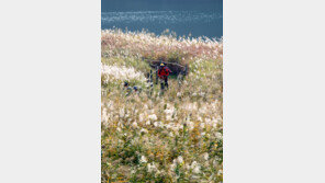 [날씨]2일 낮부터 추위 누그러져…강릉·수원·광주·대구 18도