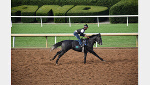 닉스고, 0.2% 확률을 뚫다