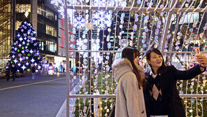 “35만개 스와로브스키 크리스털로 꾸민 빛의 정원”