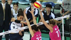 IBK기업은행, 흥국생명 3-0 완파…현대캐피탈은 진땀승