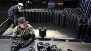 [고양이눈/사진 칼럼]뜨거운 존재