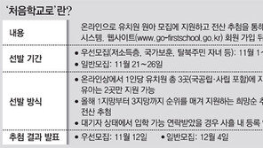 서울 사립유치원 82%, 부산은 5%… 유치원 온라인 입학관리 ‘처음학교로’ 참여 극과 극