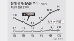 경기 안좋은데 물가 껑충… 서민 가계 주름살