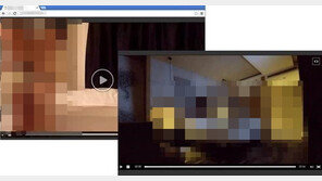 “음란 동영상 미끼로 포털계정 탈취”…‘피싱사이트’ 주의보