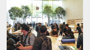 새로운 아이폰과 애플워치가 국내 출시되던 날