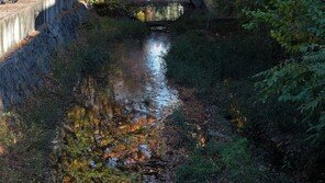 [현장 르포] 114년 만에 열린 ‘용산 미군기지’ 버스투어