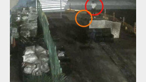 또 잔혹 ‘묻지마 살인’…외톨이 분노인가, 여성 혐오인가