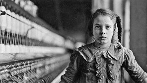 [책의 향기]“자본주의는 면화 농장에서 싹텄다”