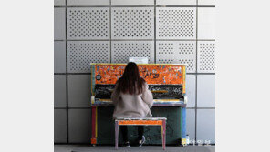 [고양이 눈/사진 칼럼]공감각적 예술