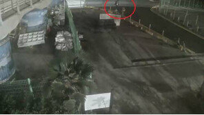 “거제 잔혹 폭행 살인 사건 가해자 신상 공개해야…” 국민 청원 빗발