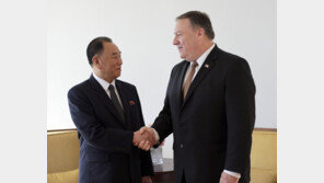 폼페이오 “다음주 내 카운터파트와 대화”…김영철 지칭