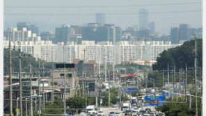 ‘부동산 불패신화’가 만든 ‘버블’…日 전철 밟을까