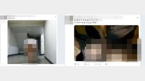 ‘동덕여대 알몸남’ 충격에도…SNS서 야외노출 게시물 여전