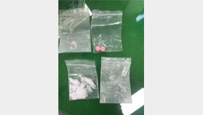 폭력·마약·도박…3개월 간 외국인 범죄 886명 검거