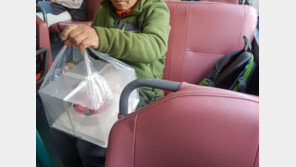 “손에 쥐는 돈 월 50만원”…실버택배, ‘일자리 창출’ 무색