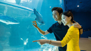 한화 아쿠아플라넷, 빼빼로데이 이벤트