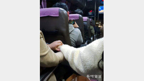 [고양이눈/사진 칼럼]너와 나 사이