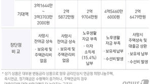 집값 3억원이면 20년간 월 153만원…연금형 주택 접수 시작