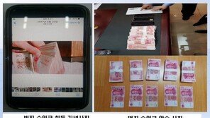 ‘중국 5개시에 콜센터’ 대규모 보이스피싱 조직 148명 적발