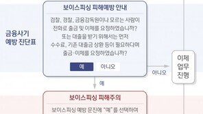 온라인으로 고액 송금할 때 보이스피싱 ‘경고창’ 뜬다