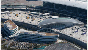 보따리상 밀반입 내년 12% 이상↑…중국·베트남이 가장 많아