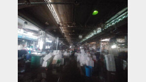 수협, 옛 노량진 수산시장 단전·단수…상인들 “물고기 폐사”반발