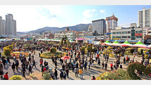 인파로 넘실대는 ‘마산가고파국화축제’