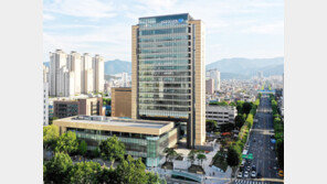 잇단 악재 딛고 재도약하는 DGB금융그룹