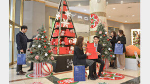 크리스마스가 성큼… “트리 보러오세요”