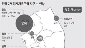 경제자유구역 稅혜택 국내기업에도 적용… 신산업 중심지로