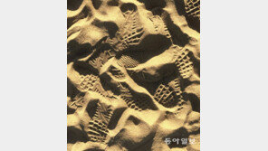 [고양이 눈]흔적